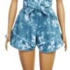 Barbie Fashionistas Pop 173 1 Barbie Fashionistas Pop 173 -Berg Winkel barbie fashionista 173