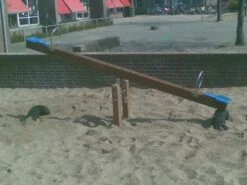 Hardhouten Wip Openbaar