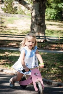 Tiny Tot Loopfiets 2 – In – 1 Kinderfeets – Loopfiets – Rose -Berg Winkel kinderfeets tiny tot roze loopfiets 3