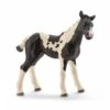 Schleich 13803 Pinto Veulen HorseClub