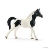 Schleich 13840 Pintabian Hengst Horse Club -Berg Winkel schleich 13840 pintabian hengst