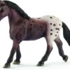 Schleich 13861 Appaloosa Merrie Horse Club -Berg Winkel schleich 13861 appaloosa merrie