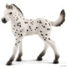 Schleich 13890 Knapstrupper Veulen Horse Club -Berg Winkel schleich 13890 knapstrupper veulen