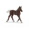 Schleich 13899 Schwarzwalder Veulen HorseClub -Berg Winkel schleich 13899 schwarzwalder veulen