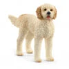 Schleich 13939 Goldendoodle Hond FarmWorld 1 Schleich 13939 Goldendoodle Hond FarmWorld -Berg Winkel schleich 13939 goldendoodle