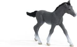 Schleich 13944 Trakhener Veulen HorseClub -Berg Winkel schleich 13944 trakehner veulen 1