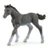 Schleich 13944 Trakhener Veulen HorseClub -Berg Winkel schleich 13944 trakehner veulen