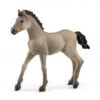 Schleich 13949 Criollo Definitivo Veulen HorseClub -Berg Winkel schleich 13949 criollo definitivo foal