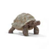 Schleich 14824 Reuzenschildpad Wildlife -Berg Winkel schleich 14824 reuzenschildpad