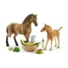 Schleich 42432 Babydieren Verzorgingsset Horse Club -Berg Winkel schleich 42432 babydieren verzorgingsset